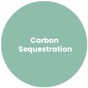 Circle with the words Carbon Sequestration in the center