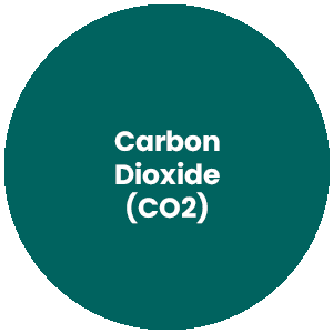 Circle with the words Carbon Dioxide in the center