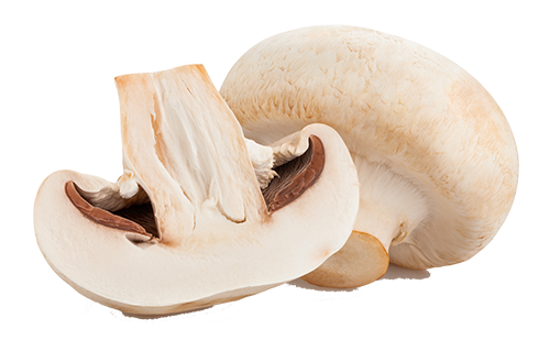 whole and sliced mushroom