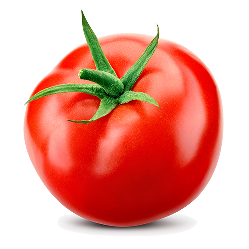 Single bright red tomato